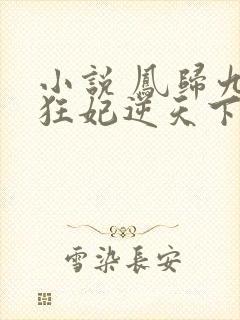 小说 凤归九霄狂妃逆天下