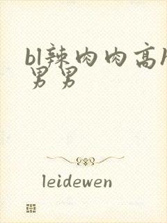 bl辣肉肉高h男男