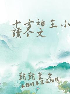 十方神王小说阅读全文