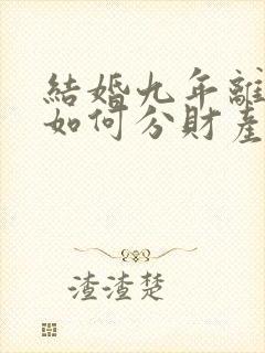 结婚九年离婚后如何分财产