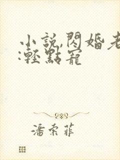 小说,闪婚老公:轻点宠