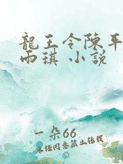 龙王令陈平,苏雨琪 小说