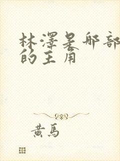 林泽是哪部小说的主角