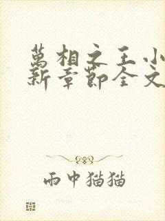 万相之王小说最新章节全文免费阅读