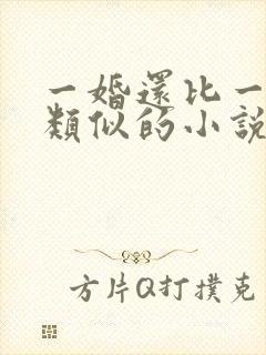 一婚还比一婚高类似的小说推荐