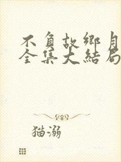 不负故乡月短剧全集大结局