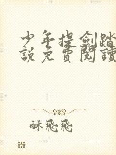 少年提剑踏苍小说免费阅读无弹窗