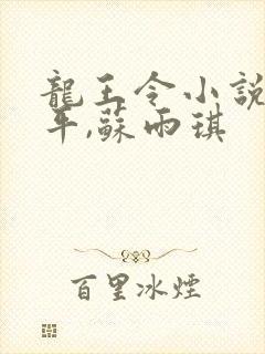 龙王令小说,陈平,苏雨琪