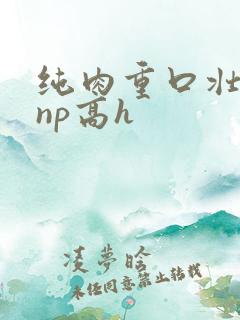 纯肉重口壮汉受np高h