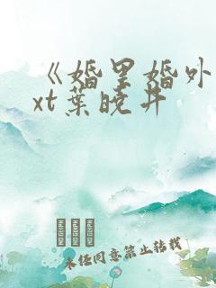 《婚里婚外》txt叶晓井