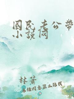 国民老公带回家小说网