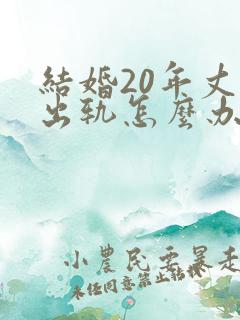 结婚20年丈夫出轨怎么办