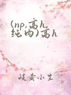 (np,高h,纯肉)高h