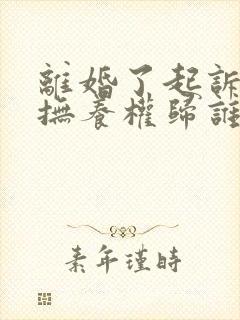 离婚了起诉孩子抚养权归谁