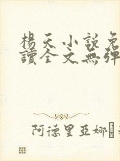 杨天小说免费阅读全文无弹窗