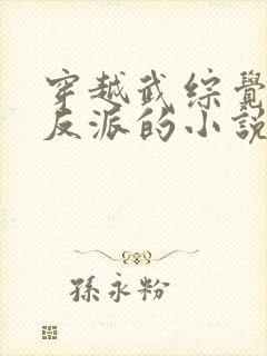 穿越武综觉醒大反派的小说