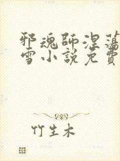 邪魂师涅荡千仞雪小说免费阅读