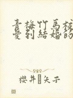 青梅竹马校园恋爱到结婚的小说