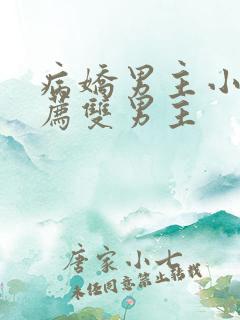 病娇男主小说推荐双男主