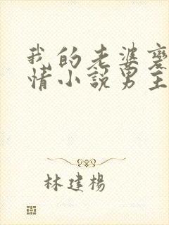 我的老婆变成言情小说男主了