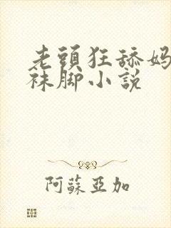 老头狂舔妈妈丝袜脚小说