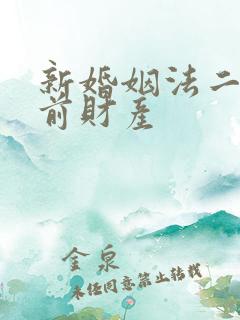 新婚姻法二婚婚前财产