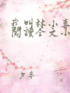 我叫林小喜免费阅读全文小说