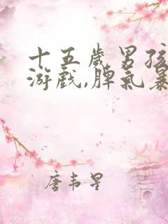 十五岁男孩沉迷游戏,脾气暴躁,叛逆