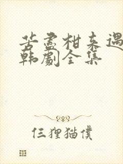 苦尽柑来遇见你韩剧全集