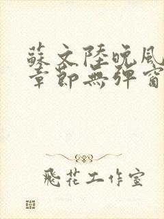 苏文陆晚风最新章节无弹窗笔趣阁