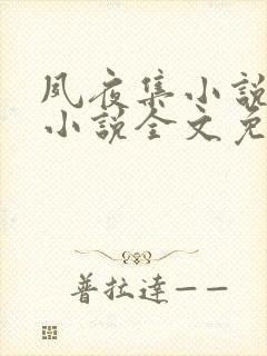 夙夜集小说原著小说全文免费阅读无弹窗