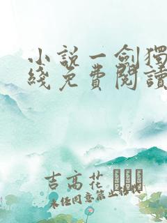 小说一剑独尊在线免费阅读