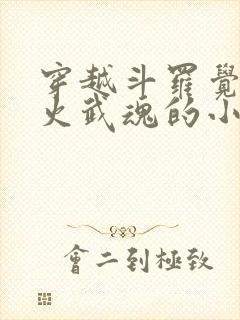 穿越斗罗觉醒异火武魂的小说