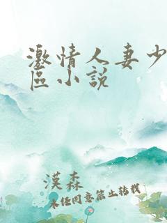 激情人妻少妇一区小说