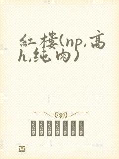 红楼(np,高h,纯肉)