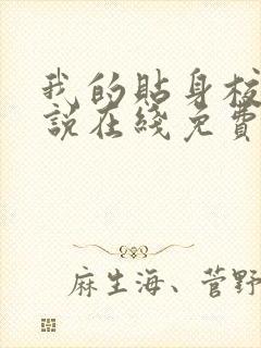 我的贴身校花小说在线免费看