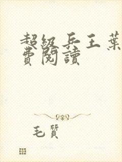 超级兵王叶谦免费阅读