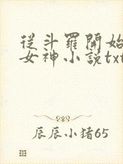 从斗罗开始俘获女神小说txt下载全集