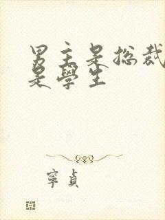 男主是总裁女主是学生