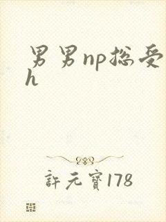 男男np总受高h