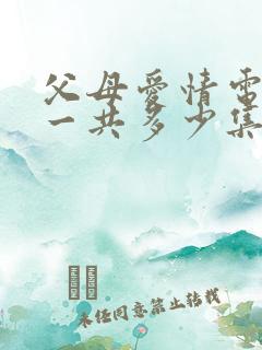 父母爱情电视剧一共多少集