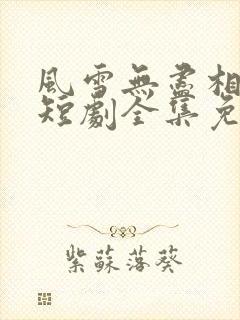 风雪无尽相思情短剧全集免费