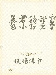 暴君的甜宠小娇包小说免费阅读