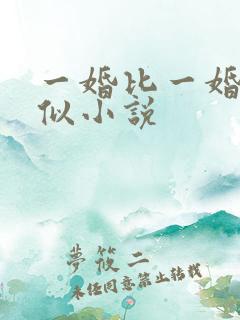 一婚比一婚高类似小说