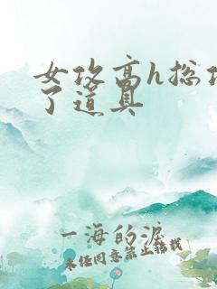 女攻高h总攻c了道具