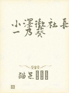 小泽彻社长秘书一乃葵