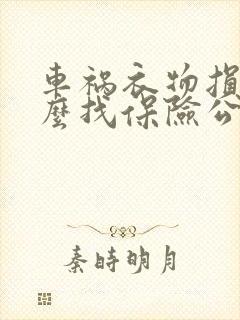 车祸衣物损失怎么找保险公司理赔