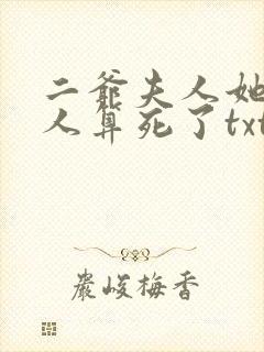 二爷夫人她又把人算死了txt下载