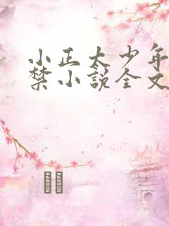 小正太少年被囚禁小说全文阅读