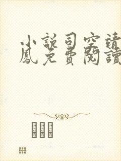 小说司空靖龙与凤免费阅读